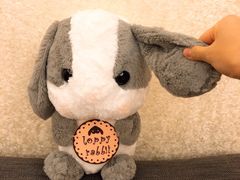 -温州王朝大酒店-自助餐厅