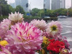 -陆家嘴中心绿地
