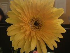 -森野花艺培训·企业团建活动沙龙