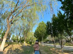 -永定河休闲森林公园