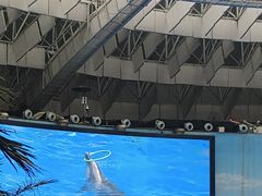 -海合安成都极地海洋公园