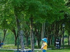 -白鹭湾湿地公园