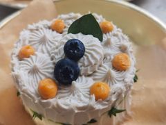 -野草莓自由市场