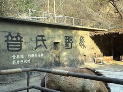 -宁波野生动物园