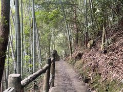 -磐安十八涡风景区