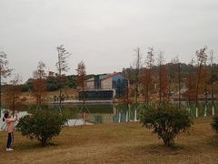 -东莞植物园