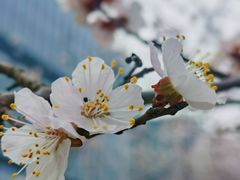 -北京奥林匹克公园