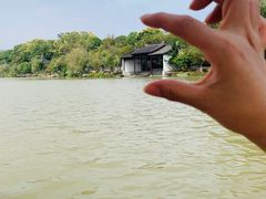 -八大山人梅湖景区