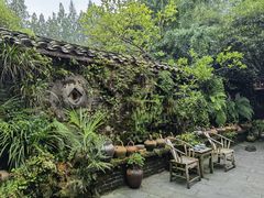 -青城甲(青城山店)