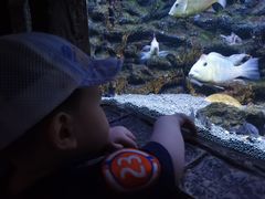 -上海海洋水族馆