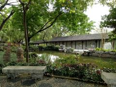 -九龙寨城公园