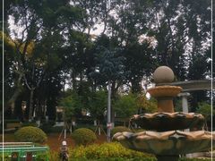 -十九路军淞沪抗日阵亡将士陵园