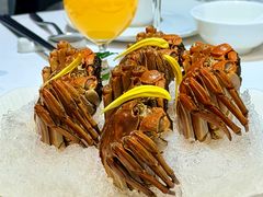 -南麓·浙里(外滩店)