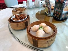 -东方御宴海鲜酒楼(棕泉酒店)