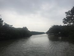 -大湾区中央湿地公园