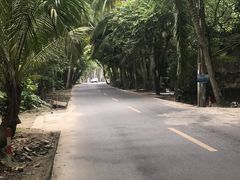 -东郊椰林