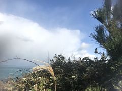 -雪绿茶博物馆