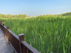 -南海子公园