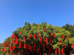 -集贤门·徽菜(福田店)