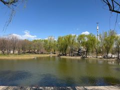 -圣露庄园·露营·烤肉·亲子