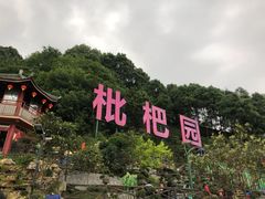 -枇杷园食为鲜火锅(南山店)
