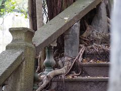 -福建师范大学(仓山校区)