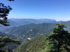 -内乡宝天曼生态旅游区