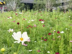 -北沙滩(地铁站)