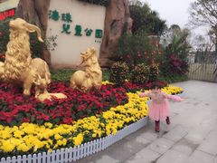 -海珠儿童公园