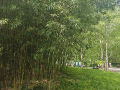 -皇家御河游(紫御湾码头)