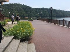 -千岛湖品鱼馆(钓鱼岛店)