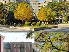 -辽宁大学(崇山校区)