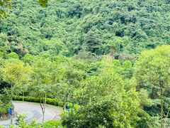 -火炉山森林公园