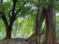 -华南国家植物园-售票处