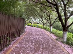 -西安汉城湖景区