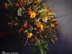 -荷兰布尔玛国际花艺学院