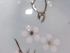 -马记伊源斋涮肉·清真菜(百子湾店)