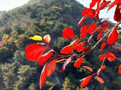 -九如山休闲旅游度假区