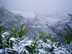 -缙云山景区