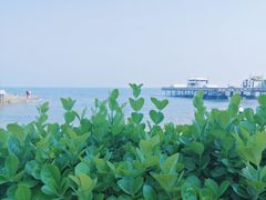 -北戴河碧螺塔海上酒吧公园