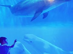 -多彩贵州城极地海洋世界