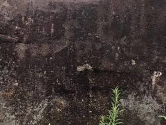 -东沙渔村