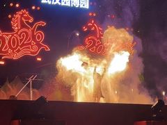 -武汉园博园(武汉自然博物馆)