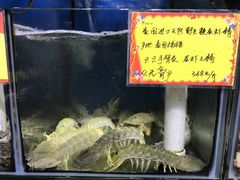 -蚝专家(北滘店)