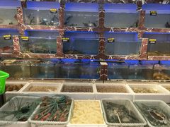 -长平肥姐白粥·海鲜打冷