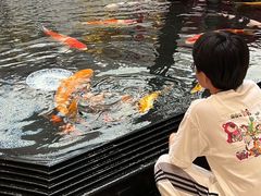 -唐山河头老街国丰维景度假大酒店