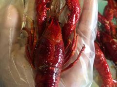 -龙虾风暴(松江店)