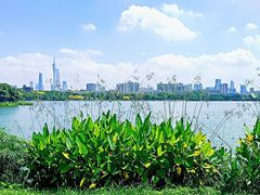 -海珠湖公园