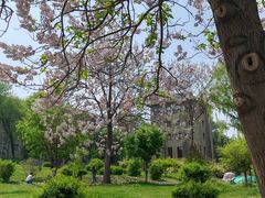 -农园餐厅(北京大学店)