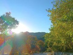 -北京西山国家森林公园